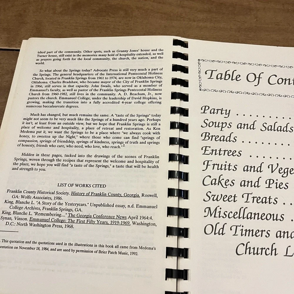 VTG A Taste of The Springs Cookbook Franklin Springs Georgia Church 1994 Comb